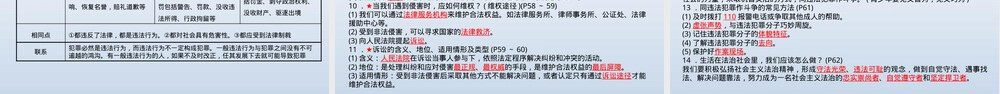 第二单元遵守社会规则八年级道德与法治复习PPT课件.pptx