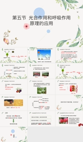 光合作用和呼吸作用原理应用七年级生物PPT课件苏教版.pptx