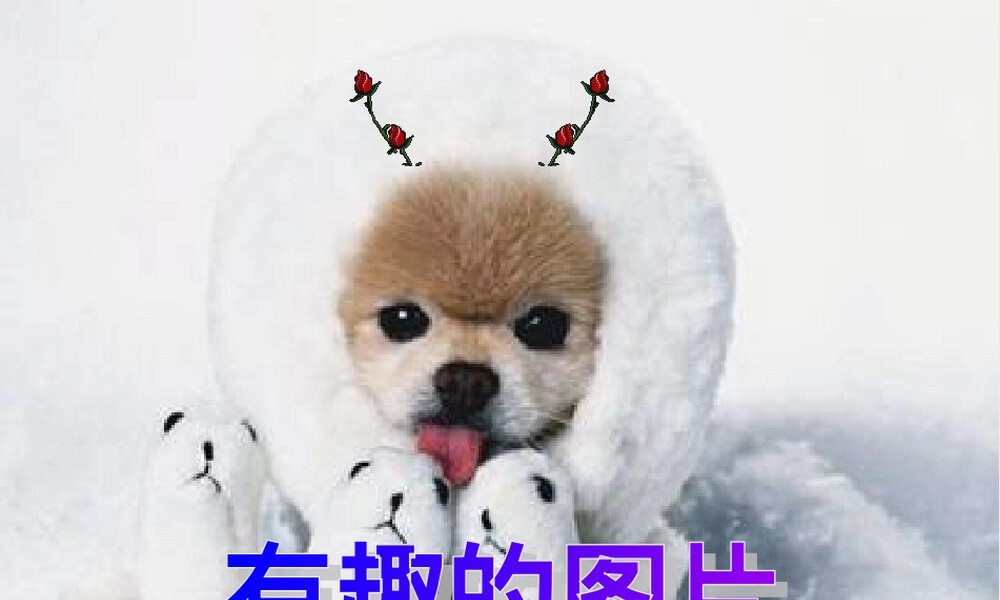 搞笑有趣图片教学PPT课件.ppt