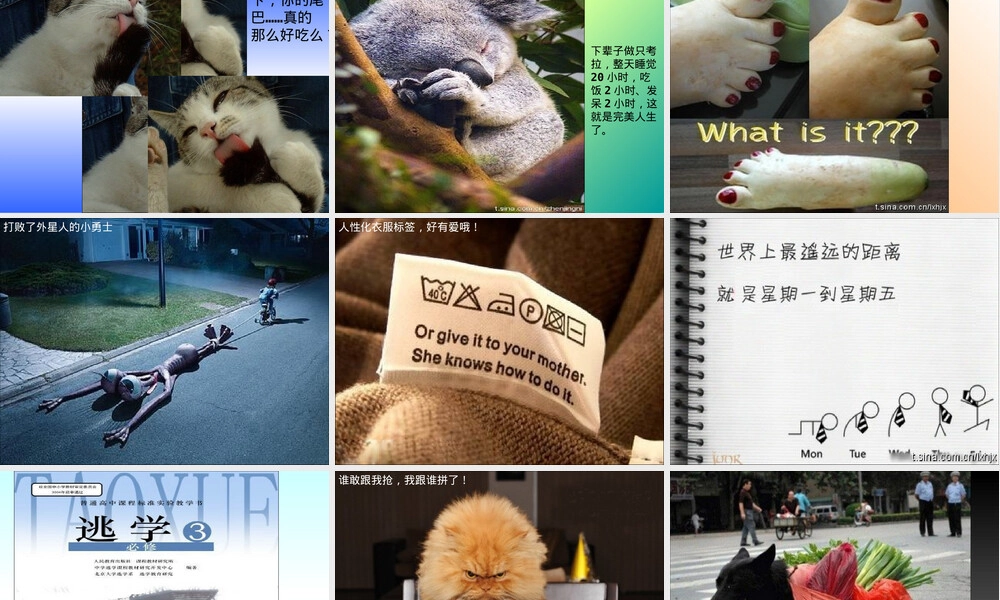 搞笑有趣图片教学PPT课件.ppt