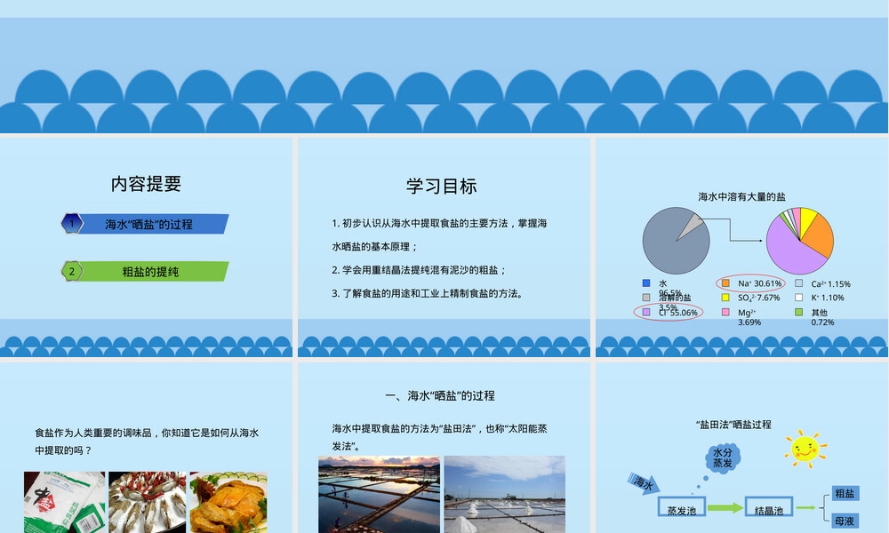 鲁教版九年级化学海水晒盐教学PPT课件.pptx