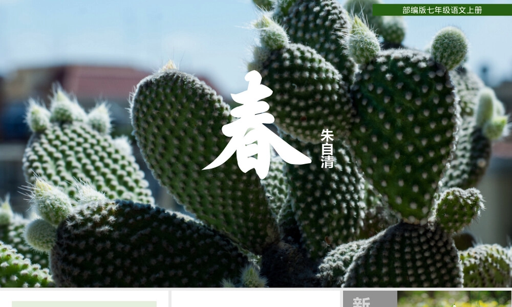 江西七年级语文《春》教学PPT课件.pptx