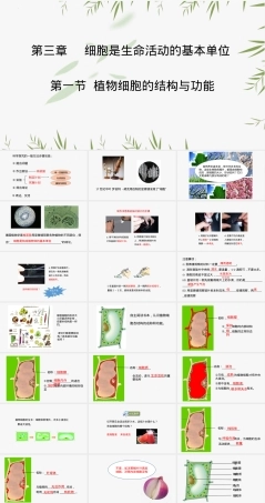 光合作用和呼吸作用原理应用七年级生物PPT课件苏教版 副本1.pptx