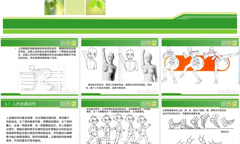 人物常规动作PPT课件.ppt