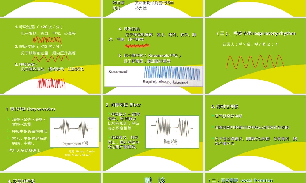 胸部体格检查教学PPT课件.ppt