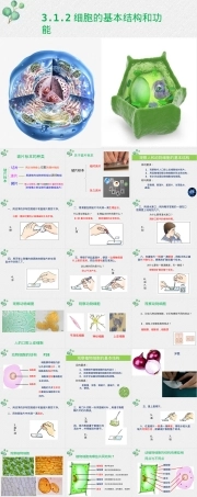 细胞基本结构与功能教学PPT课件.pptx