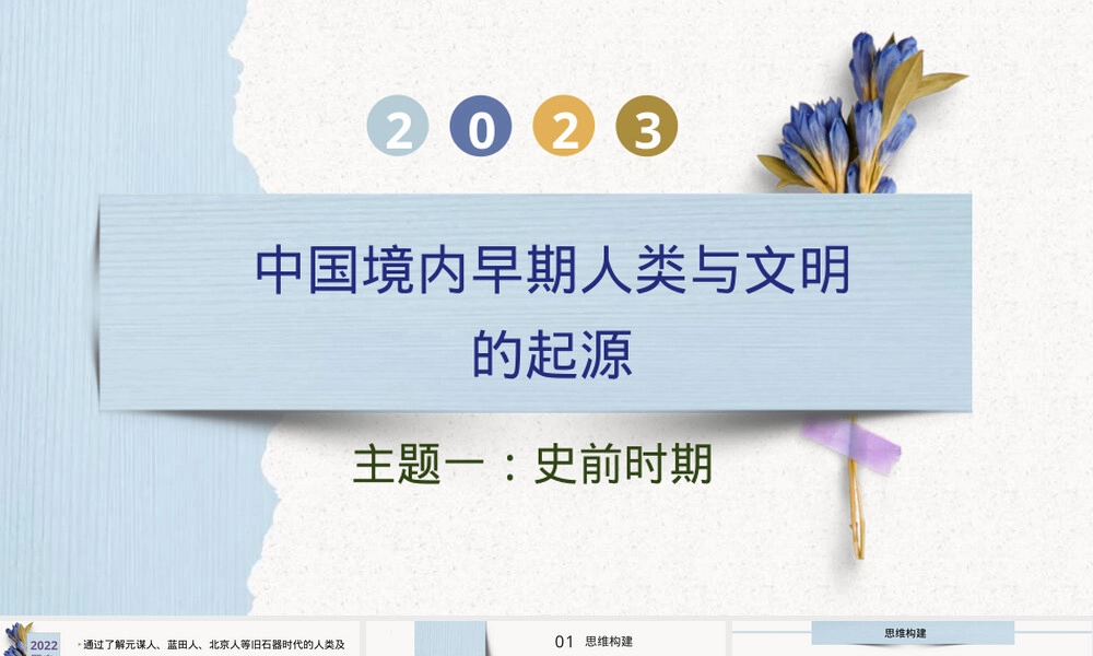 史前时期中国境内早期人类与文明起源中考历史复习PPT课件.pptx