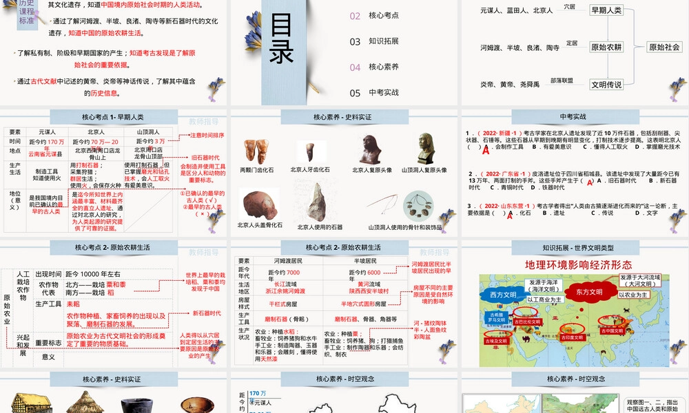 史前时期中国境内早期人类与文明起源中考历史复习PPT课件.pptx