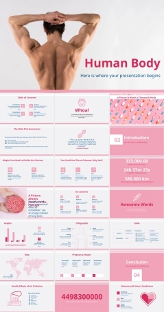 人体结构解剖教学PPT课件.pptx