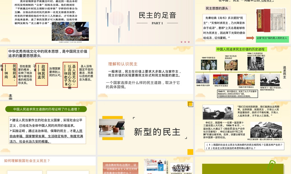 生活在新型民主国家教学PPT课件.pptx