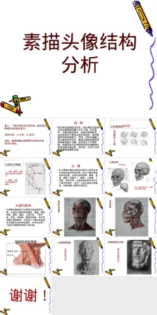 素描头像结构讲解PPT课件.ppt