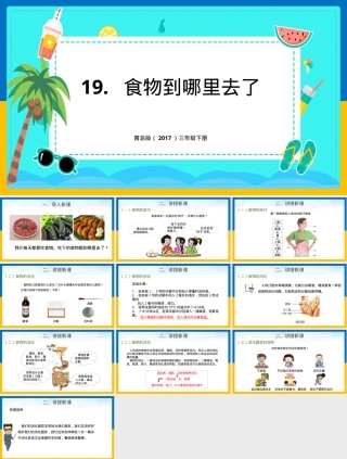 小学科学三年级下册食物到哪里去了教学PPT课件.pptx