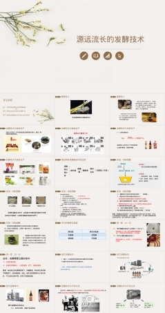 源远流长的发酵技术八年级生物教学PPT课件.pptx
