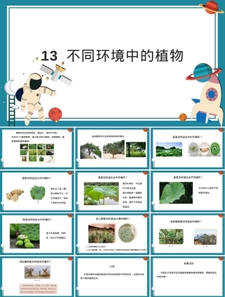 小学科学四年级下册不同环境中的植物教学PPT课件 副本2.pptx