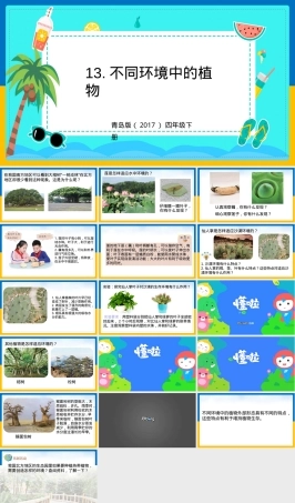 小学科学四年级下册不同环境中的植物教学PPT课件.pptx