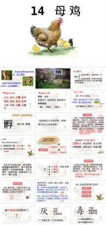 四年级语文下册母鸡第一课时PPT课件.pptx