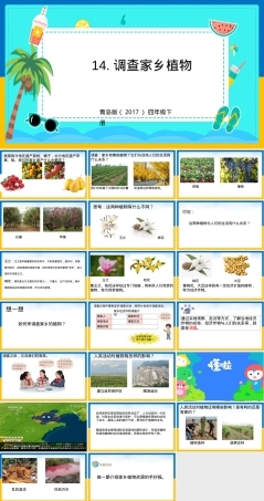 小学科学四年级下册调查家乡植物教学PPT课件.pptx