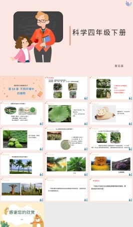 小学科学四年级下册不同环境中的植物教学PPT课件 副本1.pptx