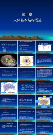 人体的基本结构教学PPT课件.ppt