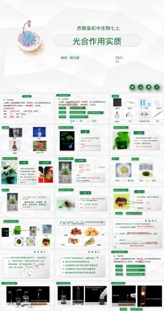苏教版初中生物光合作用实质教学PPT课件.pptx