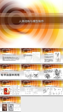 人体结构与模型制作教学PPT课件.ppt