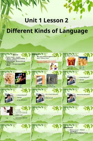 英语北师大版九年级Unit1 Lesson2教学PPT课件.ppt
