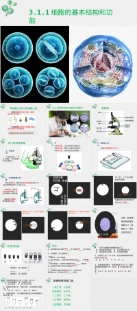细胞的基本结构和功能教学PPT课件.pptx