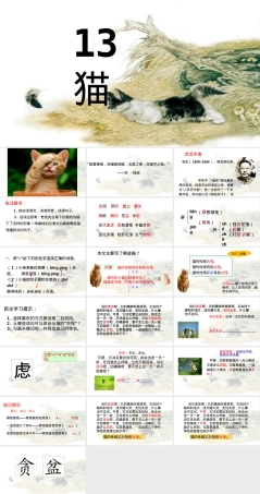 四年级语文下册猫第一课时教学PPT课件.pptx