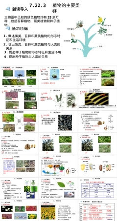 植物的主要类群初中生物PPT课件.pptx