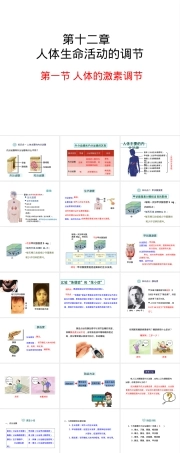 苏教版生物七年级人体生命活动的调节PPT课件.ppt