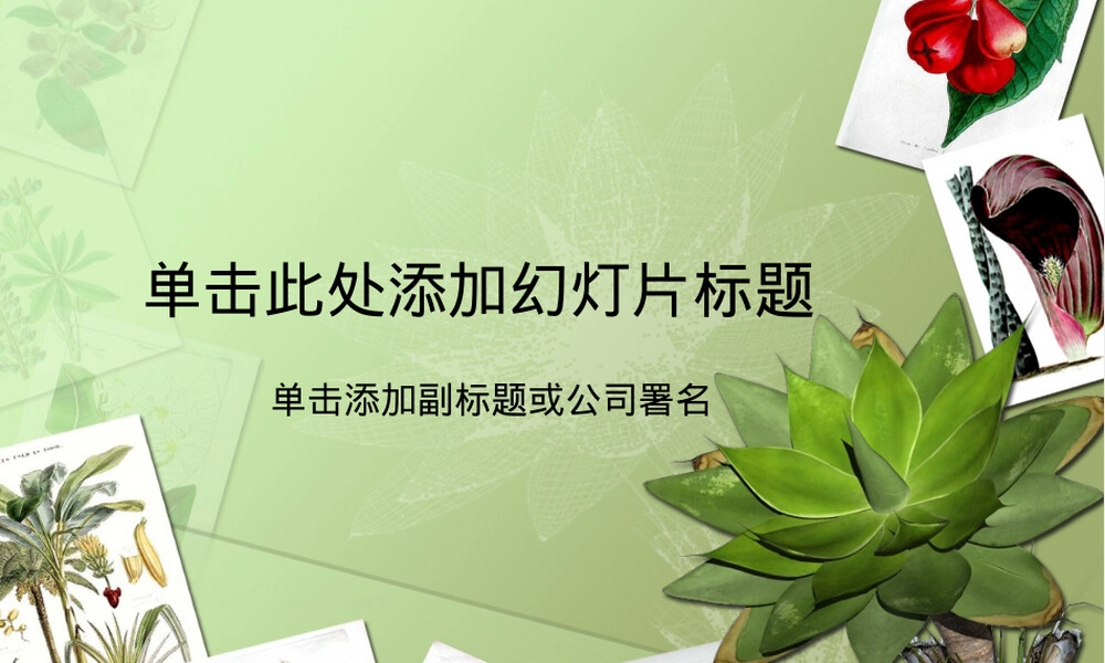 植物标本展示教学PPT课件.ppt