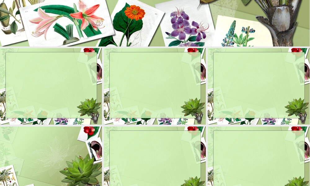 植物标本展示教学PPT课件.ppt