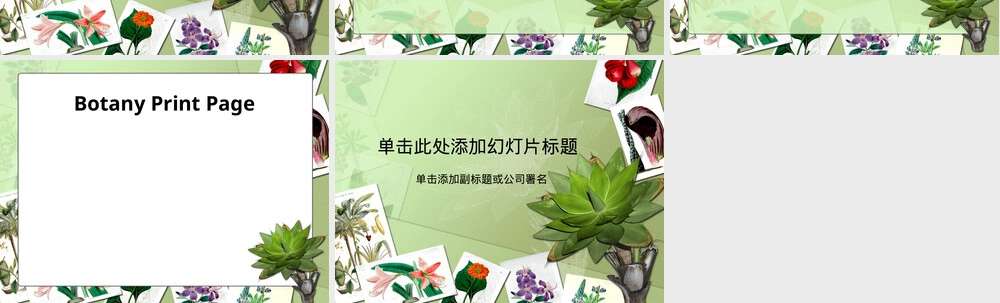 植物标本展示教学PPT课件.ppt
