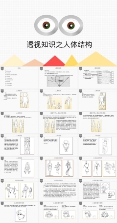 人体结构透视教学PPT课件.ppt