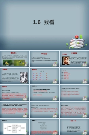 我看部编版九年级语文上册教学PPT课件.ppt