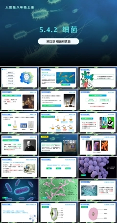 细菌八年级生物上册人教版教学PPT课件.pptx