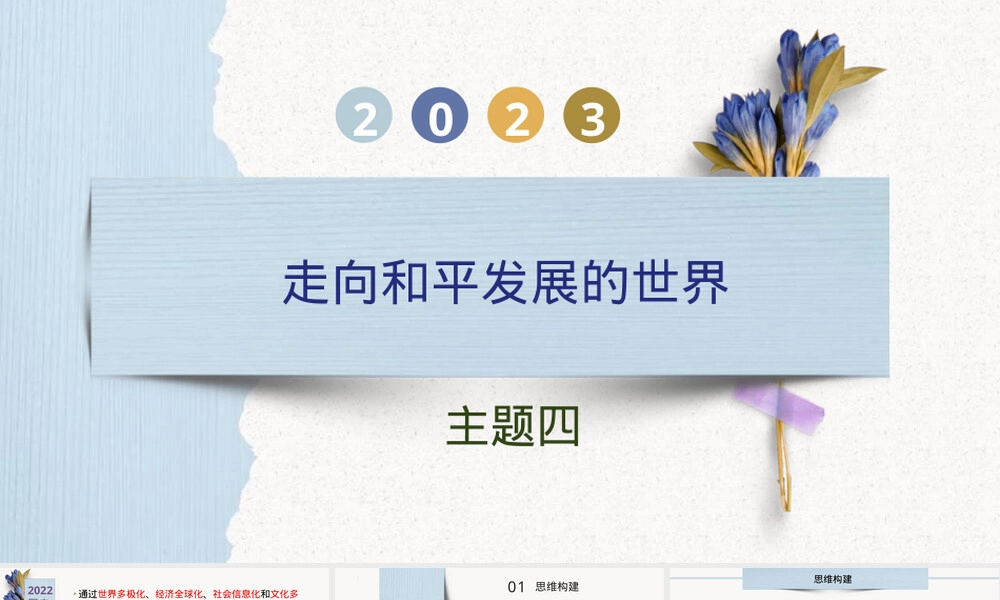 走向和平发展的世界中考历史复习PPT课件 副本1.pptx