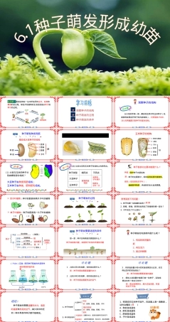 种子萌发形成幼苗七年级生物PPT课件.pptx