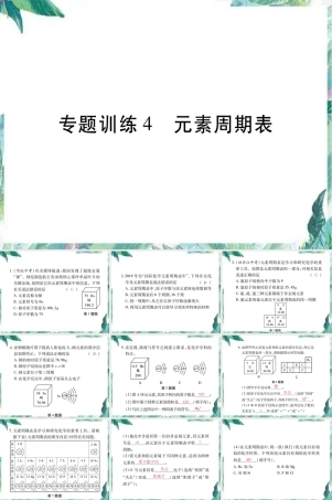 最新人教版九年级化学上册元素周期表专题训练PPT课件.ppt
