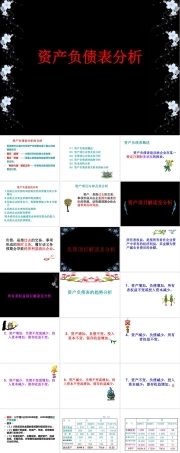 资产负债表分析讲解PPT课件.pptx