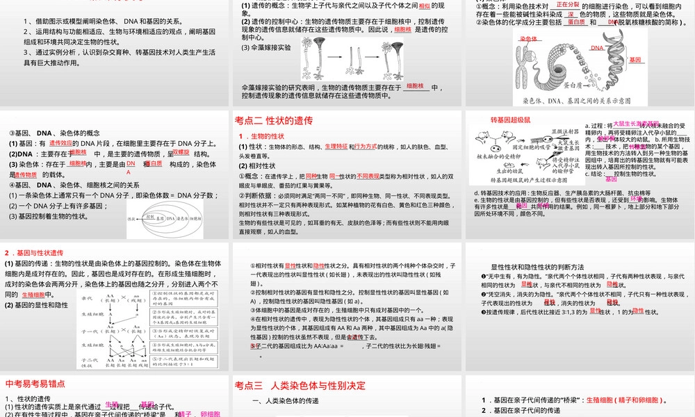 专题09遗传和变异中考生物考点PPT课件.pptx