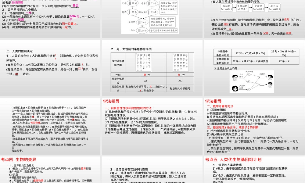专题09遗传和变异中考生物考点PPT课件.pptx