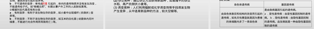 专题09遗传和变异中考生物考点PPT课件.pptx
