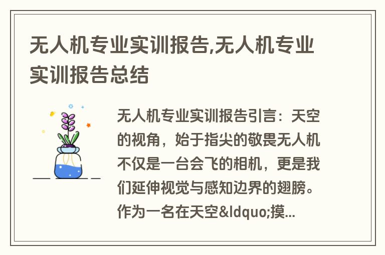 无人机专业实训报告,无人机专业实训报告总结