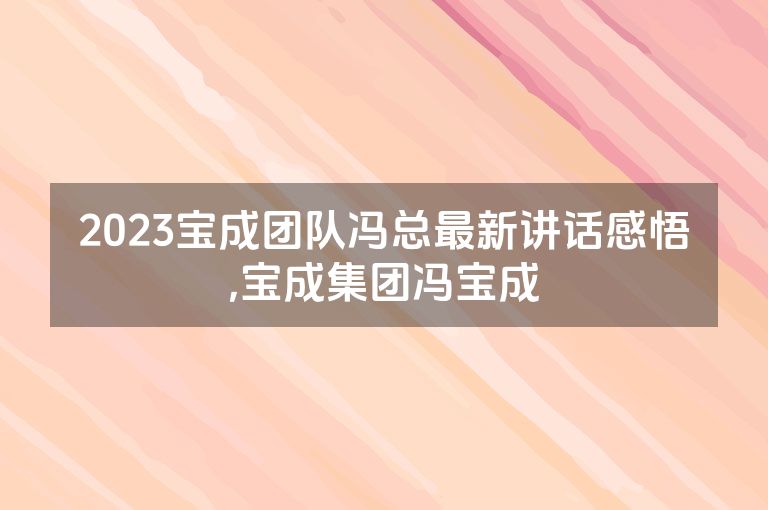 2023宝成团队冯总最新讲话感悟,宝成集团冯宝成