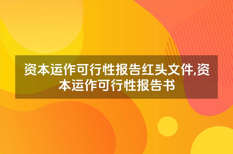 资本运作可行性报告红头文件,资本运作可行性报告书