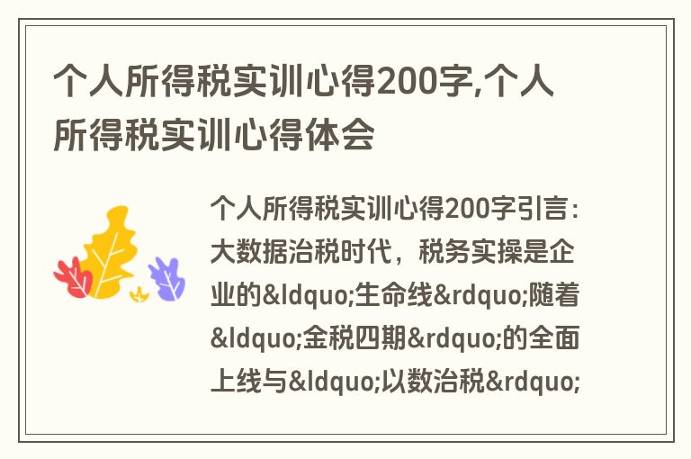 个人所得税实训心得200字,个人所得税实训心得体会