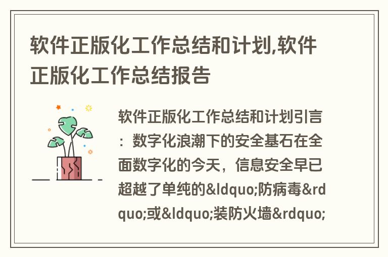 软件正版化工作总结和计划,软件正版化工作总结报告
