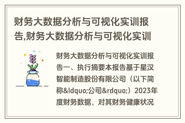 财务大数据分析与可视化实训报告,财务大数据分析与可视化实训报告总结
