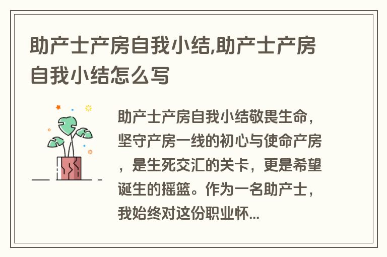 助产士产房自我小结,助产士产房自我小结怎么写